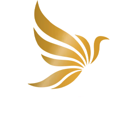 Instituto Drefahl